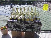 Tournament Trophies